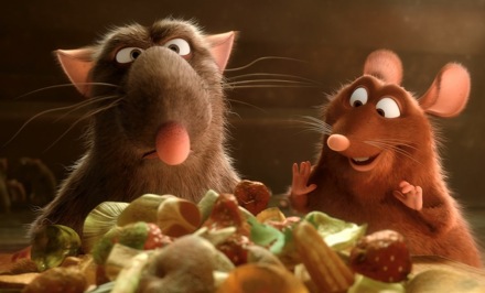 40 Ratatouille Photos