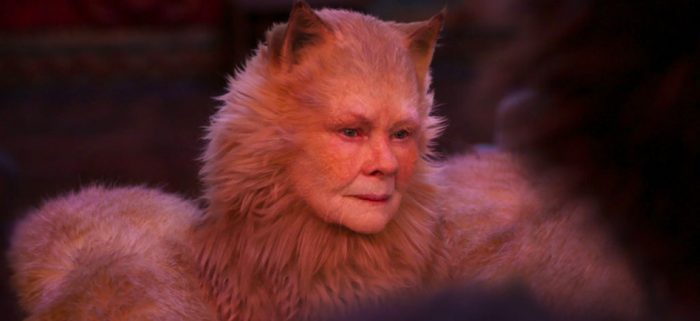 rise of skywalker judi dench