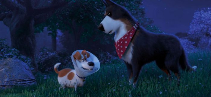 Secret Life of Pets 2 Review