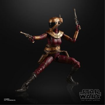 Star Wars The Rise of Skwaylker Figures