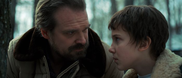 stranger things season 3 david harbour