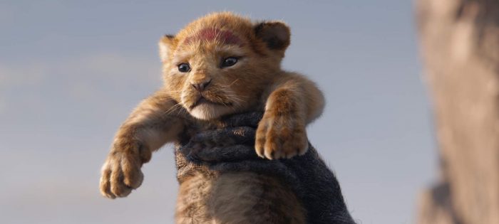 the lion king sequel