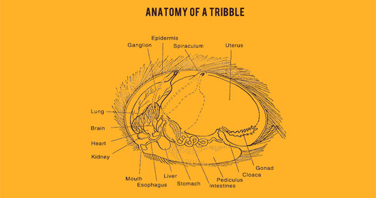 Cool Stuff: Anatomy Of A Tribble