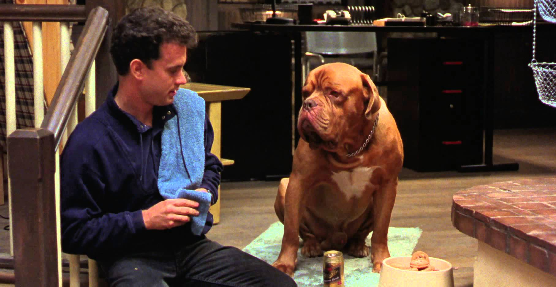 what kind of dog is in the movie turner and hooch
