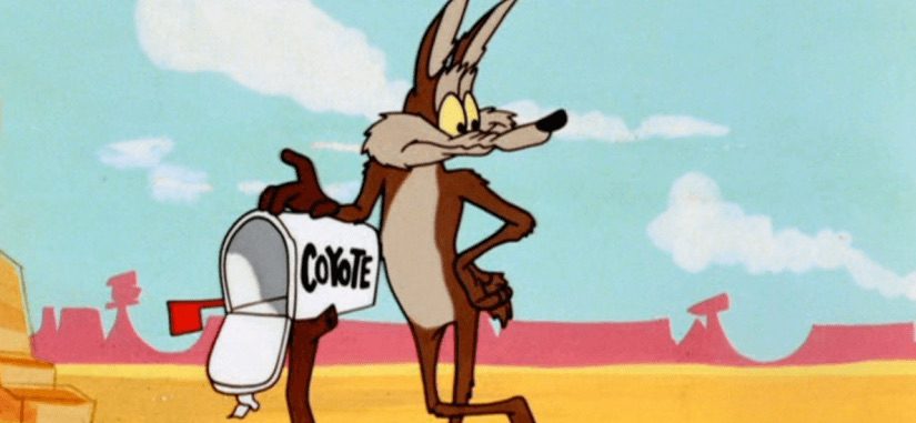 wile e coyote spring shoes