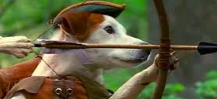 wishbone movie